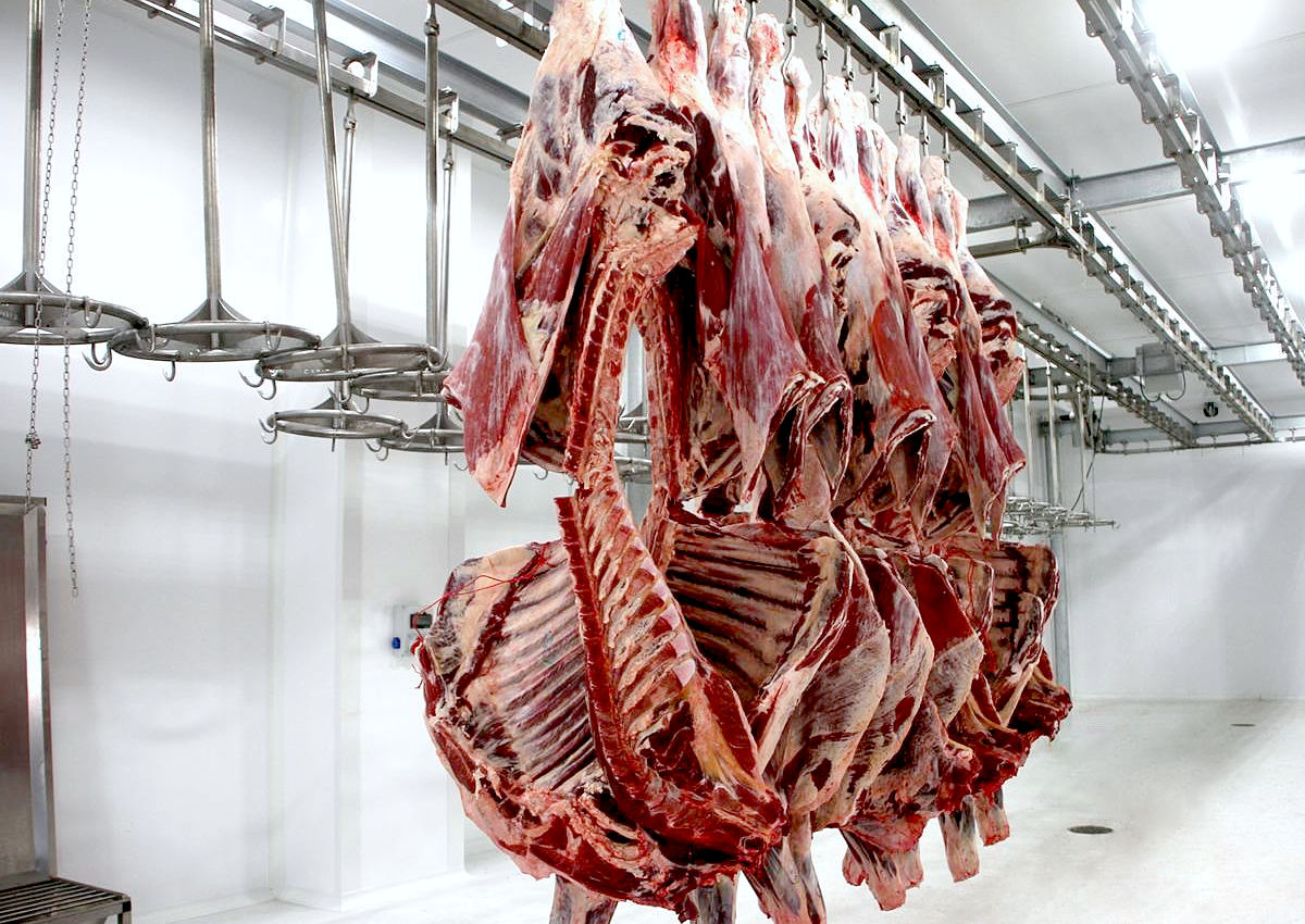 Et ve et ürünleri fabrikası CTP hijyenik asma tavan ve duvar